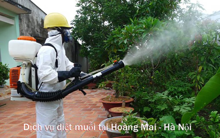 Dịch vụ diệt muỗi tại Hoàng Mai - Hà Nội