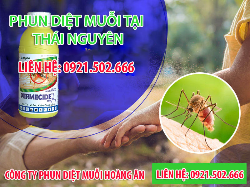 Lợi ích có được khi sử dụng dịch vụ diệt muỗi tại Thái Nguyên