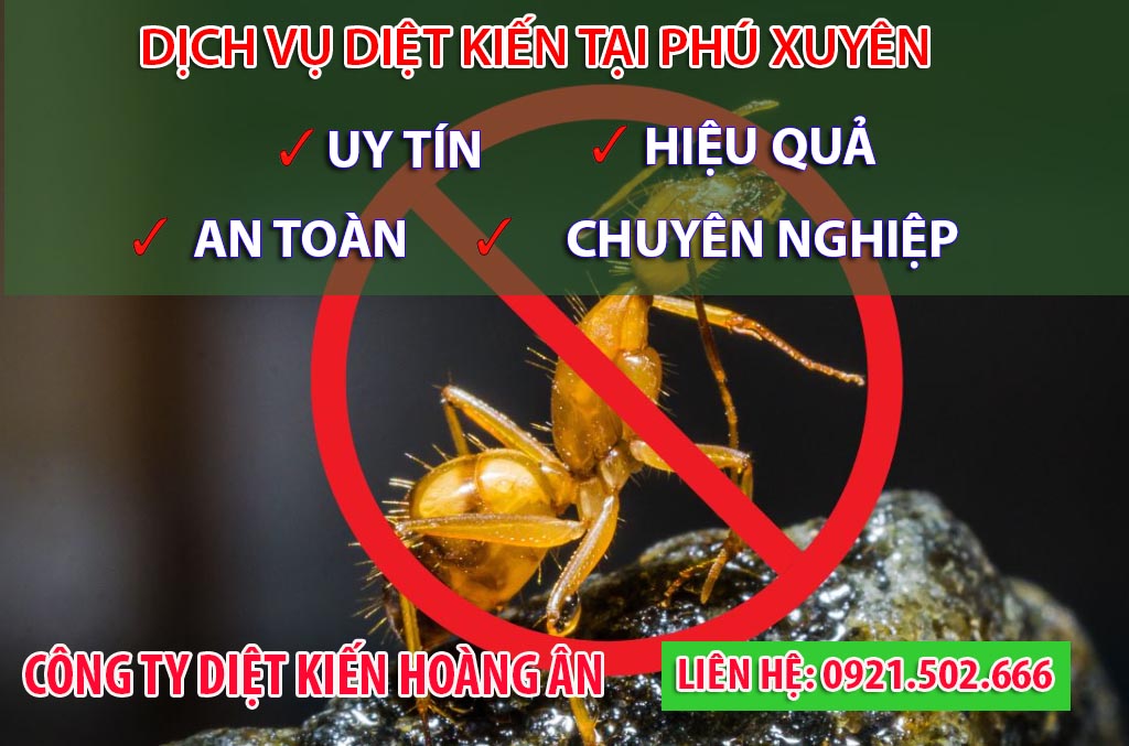 Dịch vụ diệt kiến tại Phú Xuyên