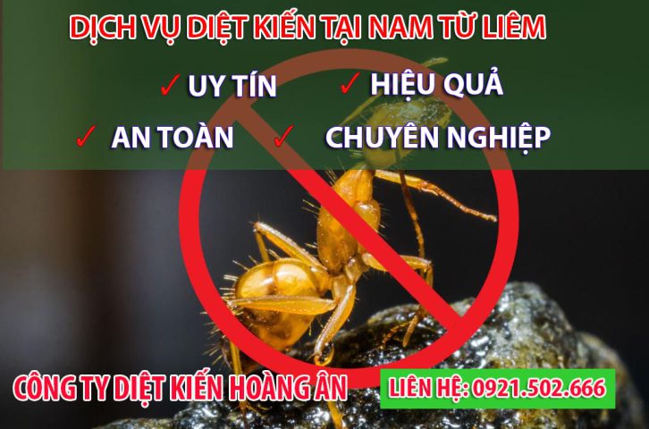 phun muỗi tại Nam Từ Liêm