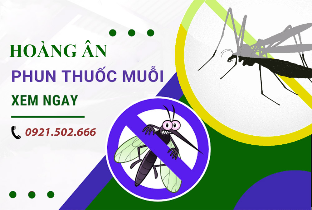 Tại sao nên chọn dịch vụ phun muỗi tại Chương Mỹ giá rẻ Hoàng Ân