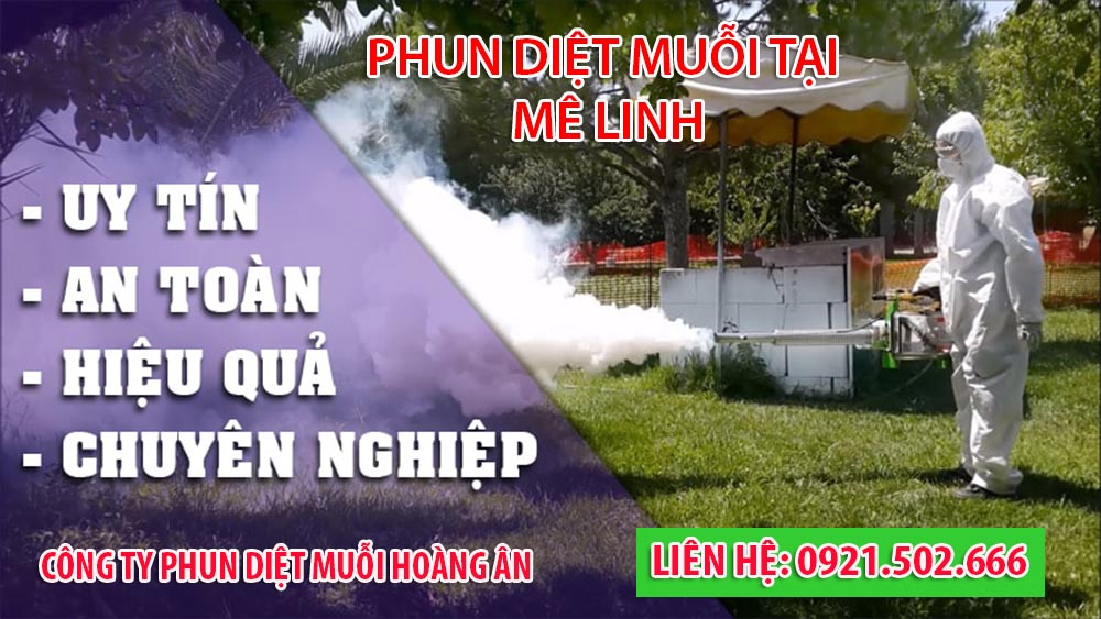 Công ty phun muỗi tại Mê Linh hiệu quả giảm ngay 50%