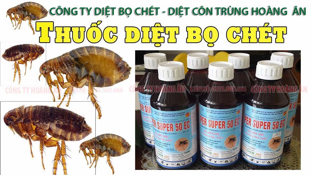 Những loại thuốc Hoàng Ân sử dụng khi diệt bọ chét tại Phú Xuyên