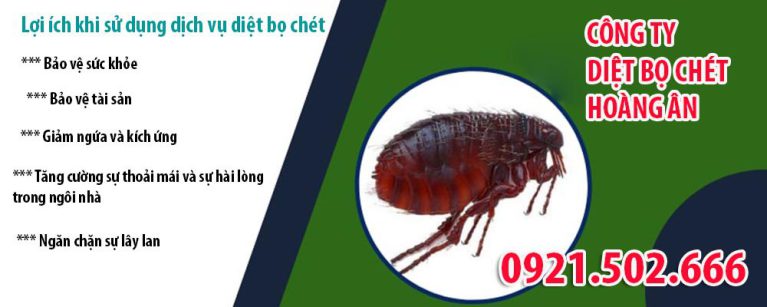 Dịch vụ thuốc diệt bọ chét diệt côn trùng  tại nhà gọi ngay 0921.502.666